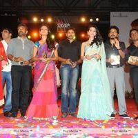 Panja Audio Release - Pictures | Picture 128509